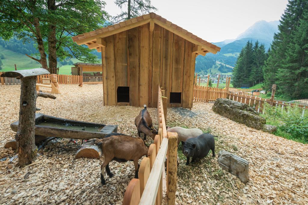 Ferienwohnung Stockhambauer Kleinarl Exterior foto